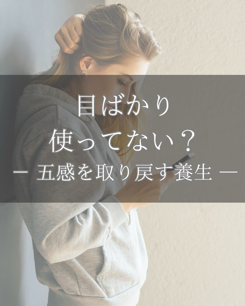 ブログ